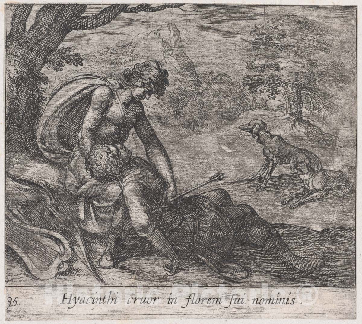 Art Print : Antonio Tempesta - Plate 95: The Death of Hyacinthus (Hyacinthi Cruor in florem sui nominis), from Ovid's 'Metamorphoses' : Vintage Wall Art