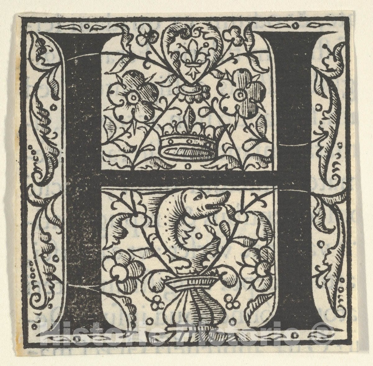 Art Print : Initial Letter H with Dolphin and Crown : Vintage Wall Art