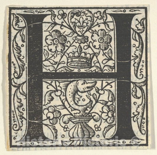 Art Print : Initial Letter H with Dolphin and Crown : Vintage Wall Art