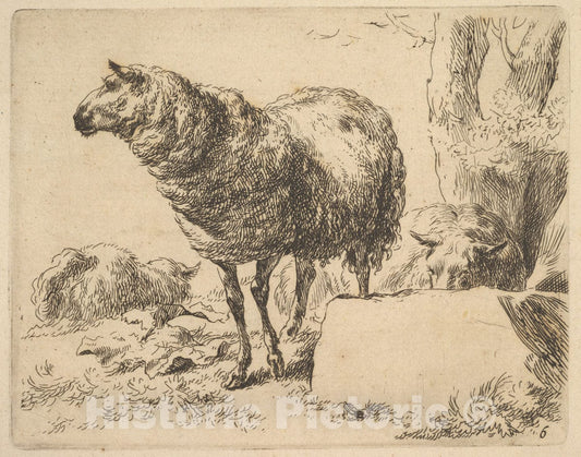 Art Print : Nicolaes Berchem - from The Set of Sheep 1 : Vintage Wall Art