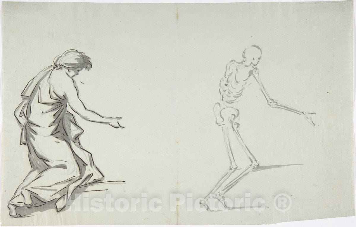 Art Print : French, 18th Century - Anatomical Drawing v.3 : Vintage Wall Art