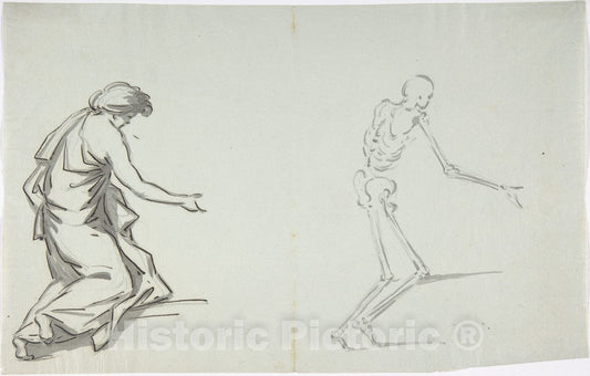 Art Print : French, 18th Century - Anatomical Drawing v.3 : Vintage Wall Art