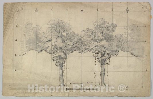 Art Print : Eugène Cicéri - Design for a Stage Set 9 : Vintage Wall Art