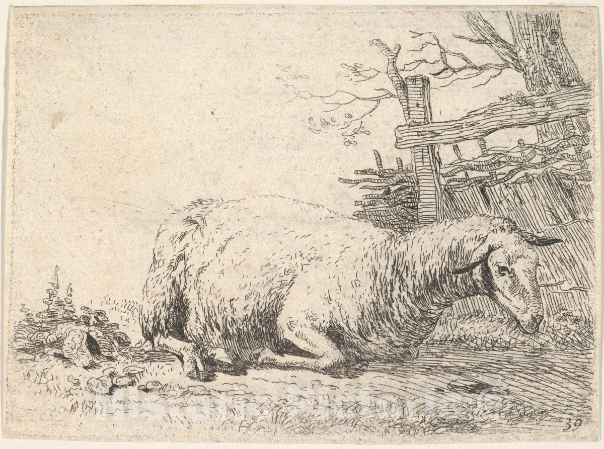 Art Print : Karel Dujardin - A Sheep Lying with its Legs Folded Underneath its Body Next to a Wooden Fence, The Sheep in Profile View : Vintage Wall Art