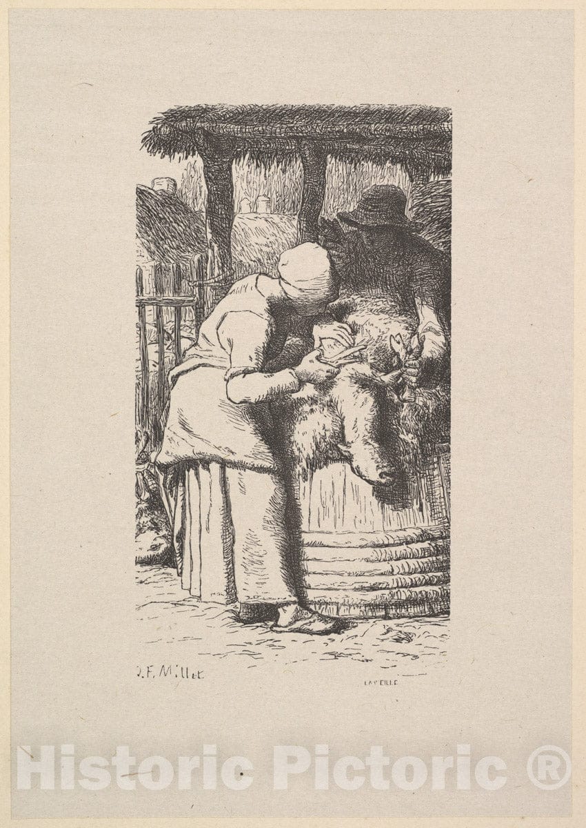Art Print : Designed by Jean-François Millet - Sheepshearing : Vintage Wall Art