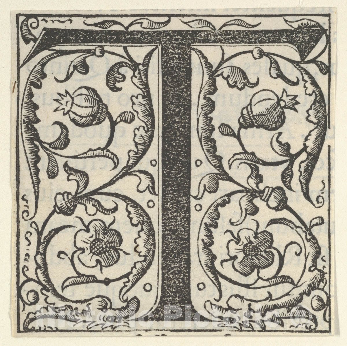 Dragable Image