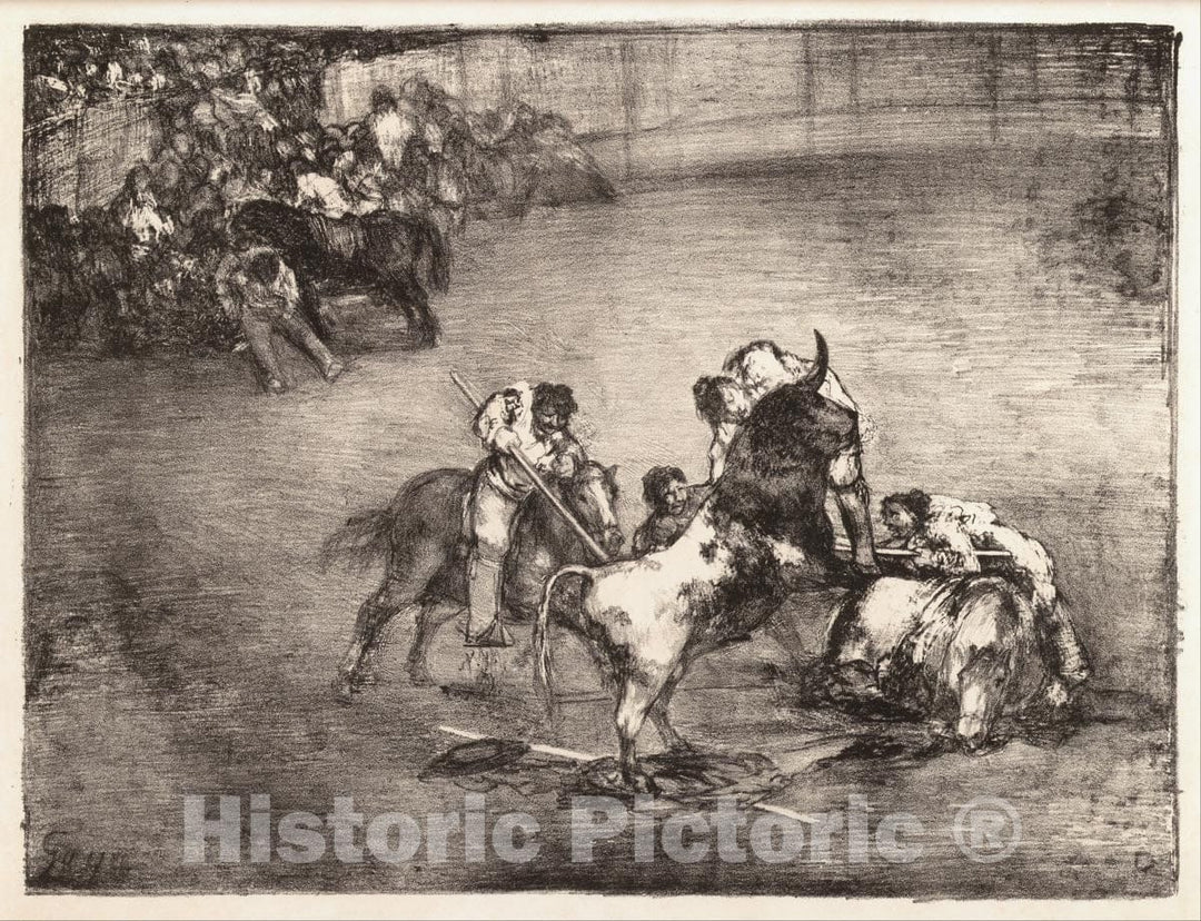 Art Print : Goya - A Picador Caught by a Bull, from The 'Bulls of Bordeaux' : Vintage Wall Art