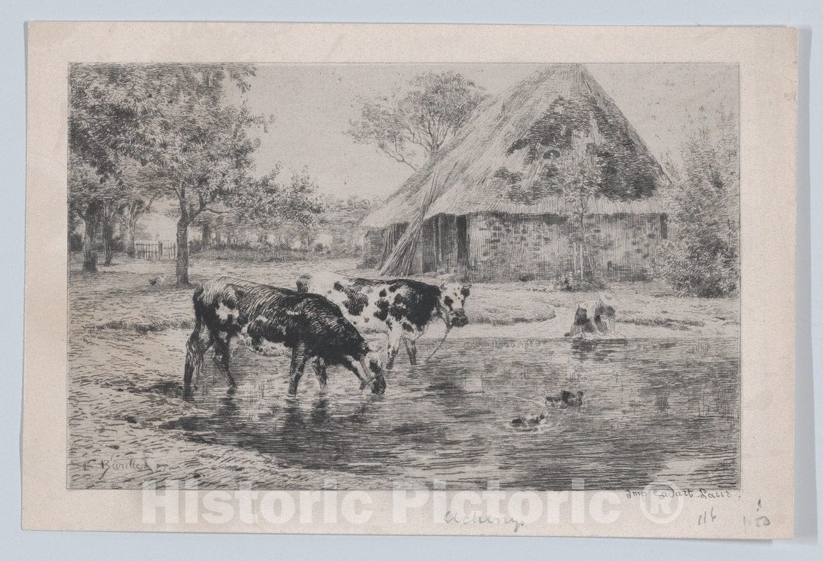 Art Print : Léon Barillot - Cows Drinking : Vintage Wall Art