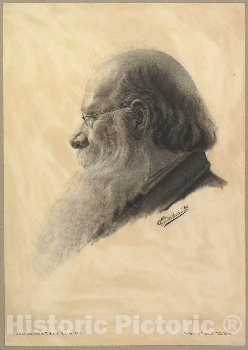 Art Print : Oresto Caldini - Portrait Head of a Man 2 : Vintage Wall Art