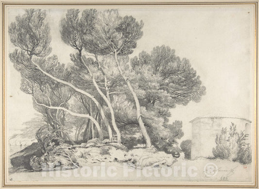 Art Print : Alexandre Calame - Landscape : Vintage Wall Art