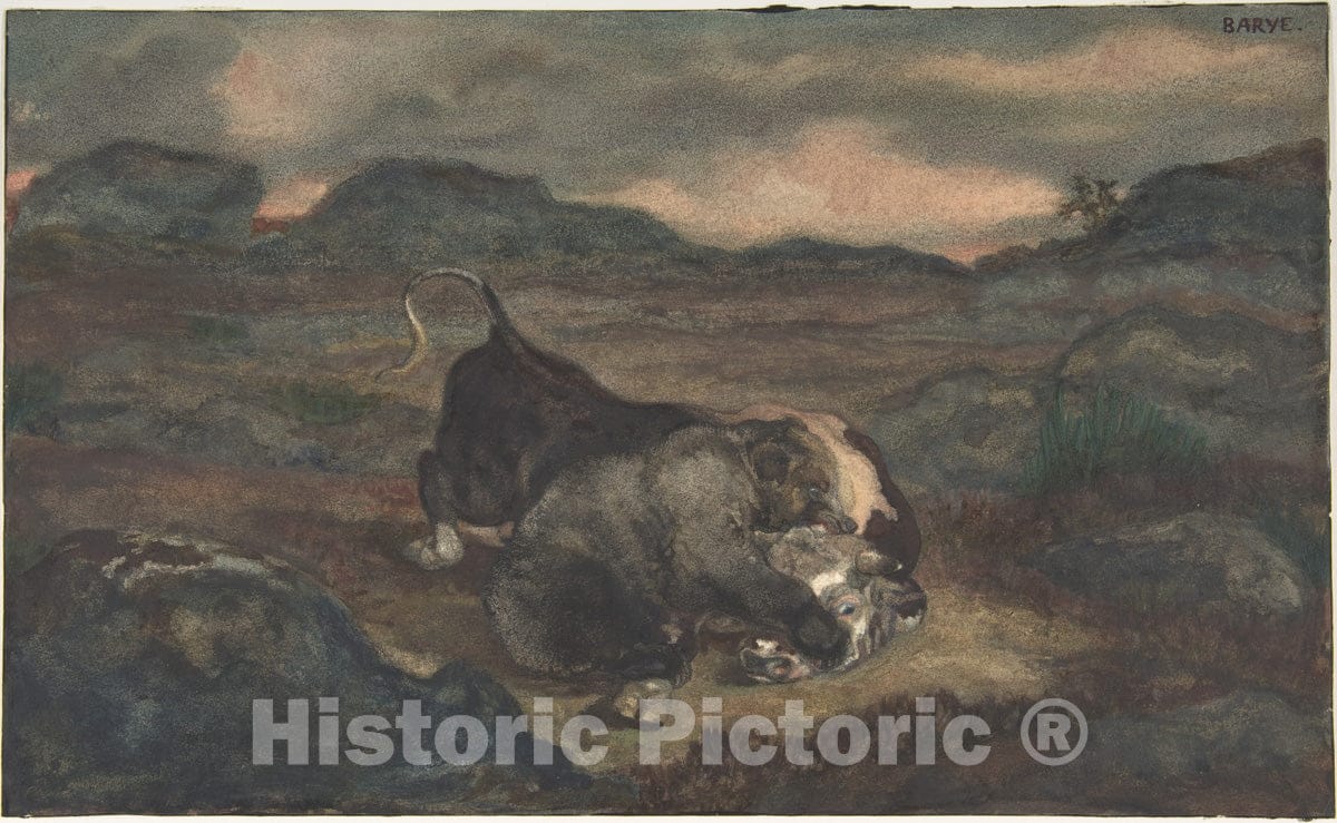 Art Print : Antoine-Louis Barye - Bear Killing Bull : Vintage Wall Art