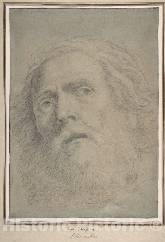 Art Print : Domenichino (Domenico Zampieri) - Head of a Bearded Man. : Vintage Wall Art