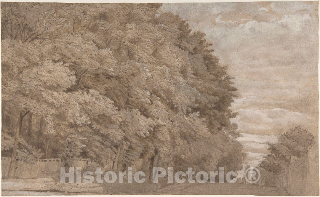 Art Print : Johannes Leupenius - Large Forest. Verso: a Tree-Lined Lane with Figure : Vintage Wall Art