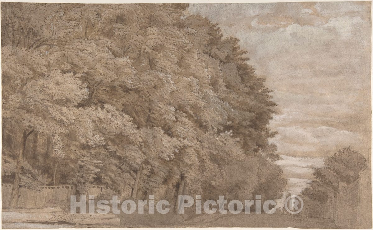 Art Print : Johannes Leupenius - Large Forest. Verso: a Tree-Lined Lane with Figure : Vintage Wall Art