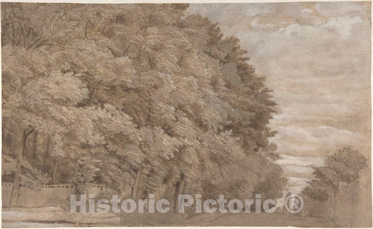 Art Print : Johannes Leupenius - Large Forest. Verso: a Tree-Lined Lane with Figure : Vintage Wall Art