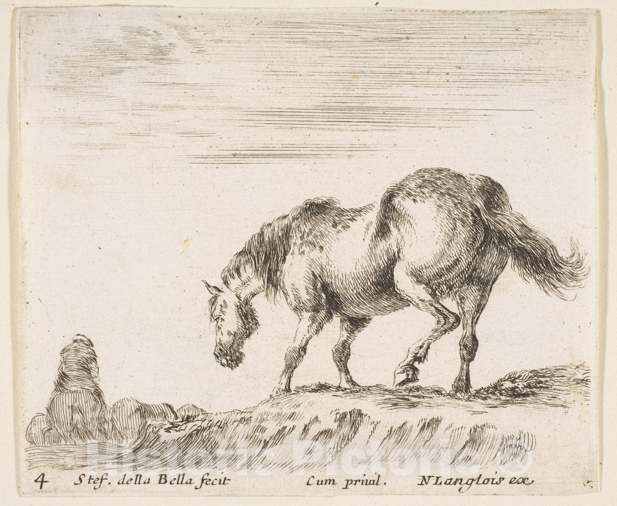 Art Print : Plate 4: a Horse in Profile Facing The Left - Artist: Stefano Della Bella - Created: c1644 2 : Vintage Wall Art