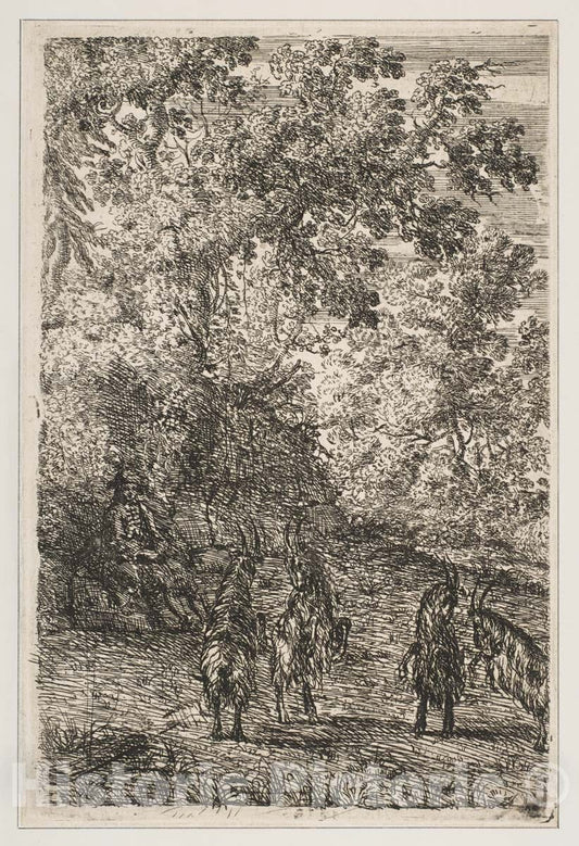 Art Print : Claude Lorrain (Claude Gellée) - Four Goats (Left Section of The Goats) 2 : Vintage Wall Art