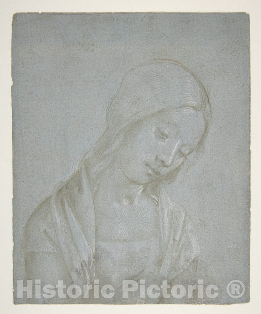 Art Print : Piero di Cosimo (Piero di Lorenzo di Piero d'Antonio) - Bust of a Young Woman : Vintage Wall Art