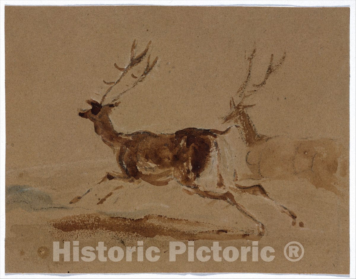 Art Print : Sir Edwin Henry Landseer - Two Stags Running : Vintage Wall Art
