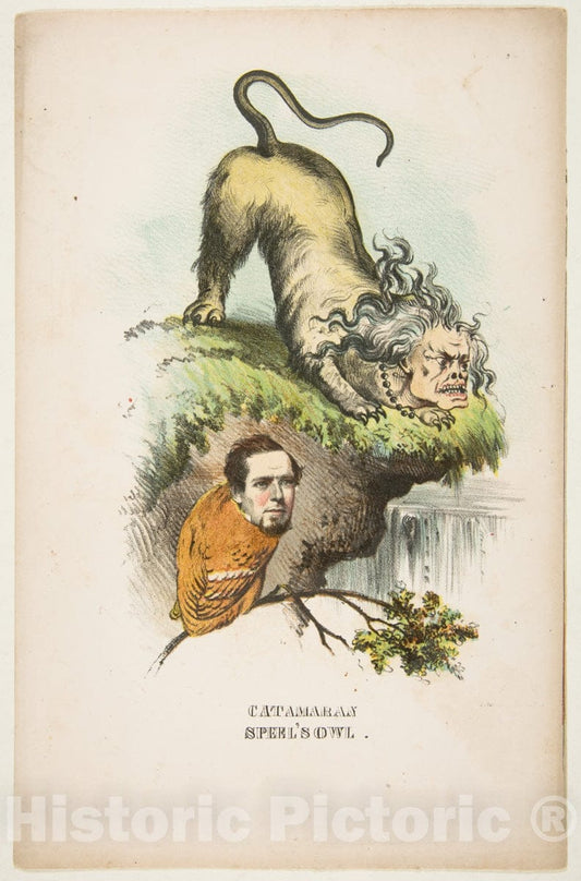 Art Print : Henry Louis Stephens - Catamaran and Speel's Owl (Charlotte Chushman and Joseph A. Speel), from The Comic Natural History of The Human Race : Vintage Wall Art