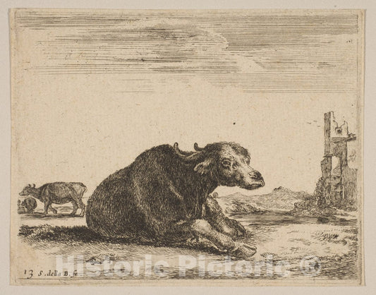 Art Print : Stefano Della Bella - Plate 13: Buffalo Lying Down, from 'Various Animals' (Diversi animali) 1 : Vintage Wall Art