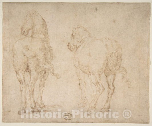 Art Print : Parmigianino (Girolamo Francesco Maria Mazzola) - Horses. : Vintage Wall Art
