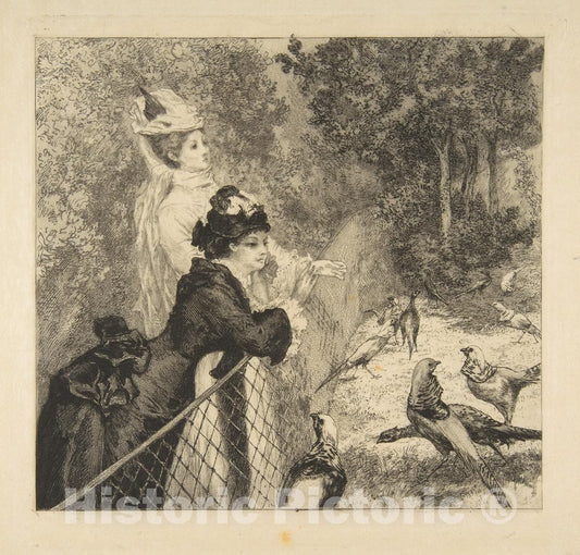 Art Print : Félix Bracquemond - in The Zoological Garden 2 : Vintage Wall Art