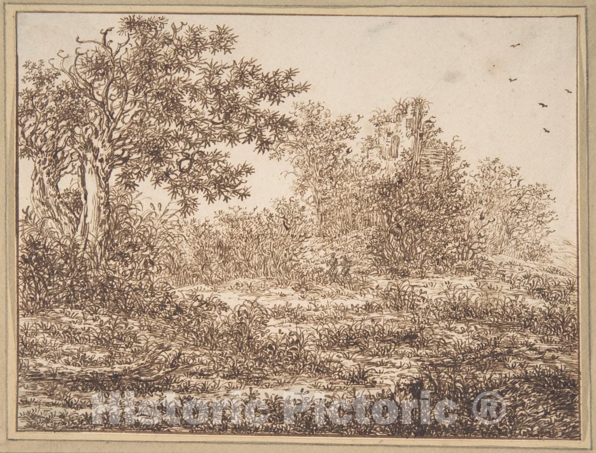 Dragable Image