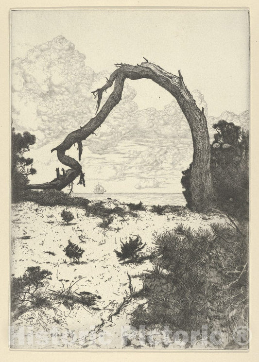 Art Print : Ernest Haskell - Pine Arch : Vintage Wall Art
