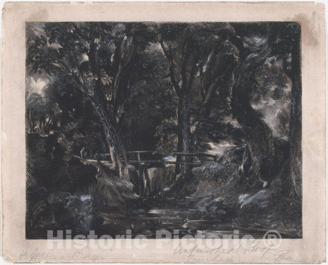 Art Print : David Lucas - A Dell, Helmingham Park, Suffolk 1 : Vintage Wall Art