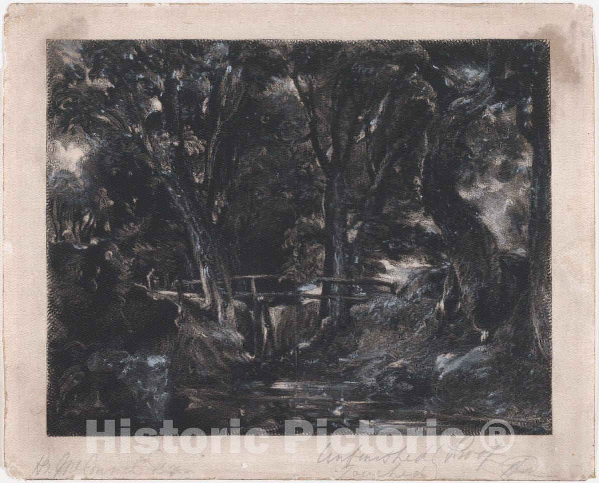 Art Print : David Lucas - A Dell, Helmingham Park, Suffolk 1 : Vintage Wall Art