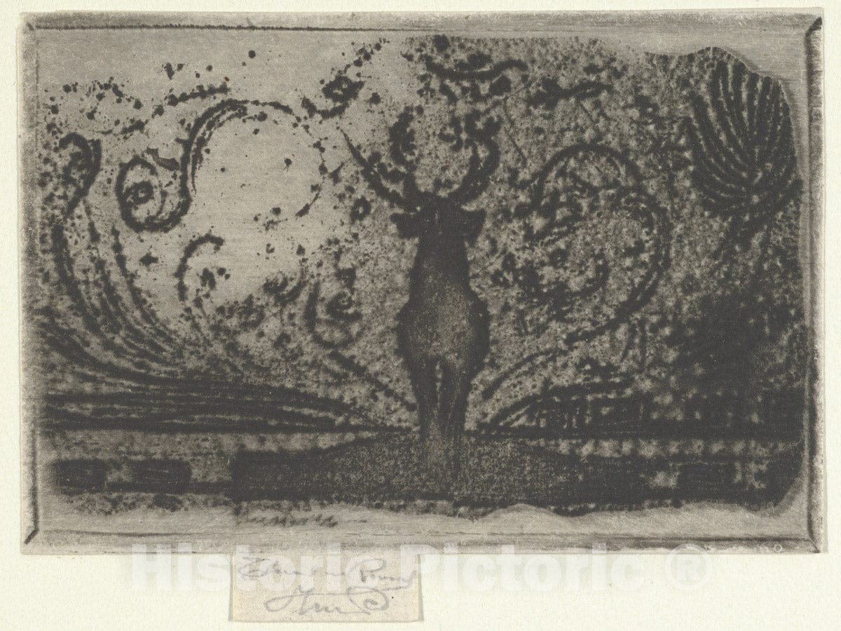 Art Print : Théodore Roussel - A Stag, A Study : Vintage Wall Art