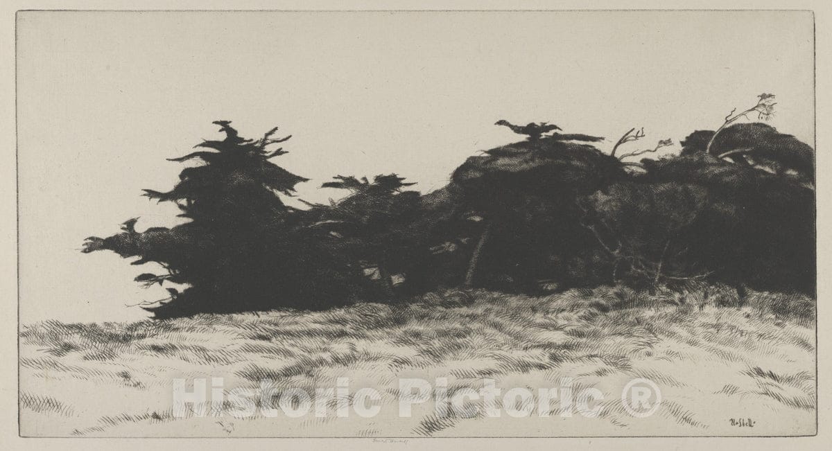 Art Print : Ernest Haskell - Cypress Wall : Vintage Wall Art