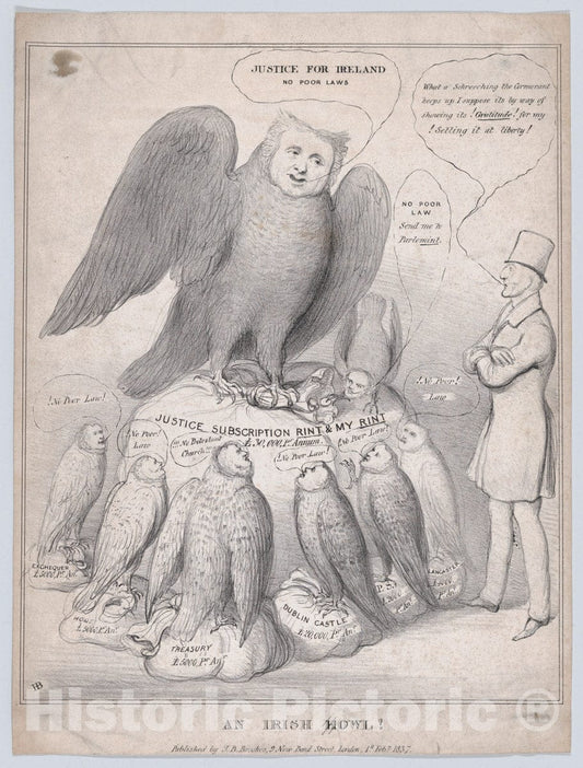 Art Print : Style of John Doyle - an Irish Howl Owl! : Vintage Wall Art