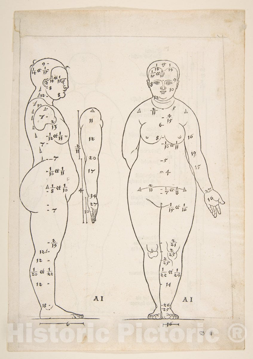 Art Print : Albrecht Dürer - Illustration from Dürers Vier Bucher von Menslicher Proportion, Nuremberg, 1528 2 : Vintage Wall Art