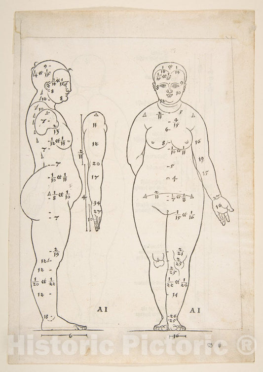 Art Print : Albrecht Dürer - Illustration from Dürers Vier Bucher von Menslicher Proportion, Nuremberg, 1528 2 : Vintage Wall Art