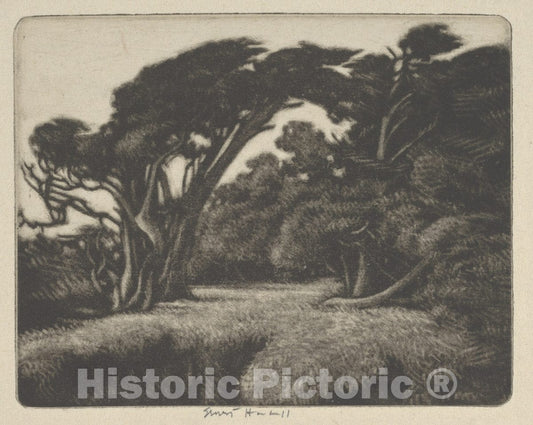 Art Print : Ernest Haskell - Cypress Bower : Vintage Wall Art