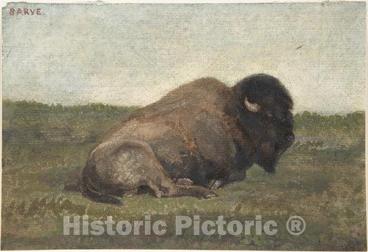 Art Print : Antoine-Louis Barye - Bison Lying Down : Vintage Wall Art