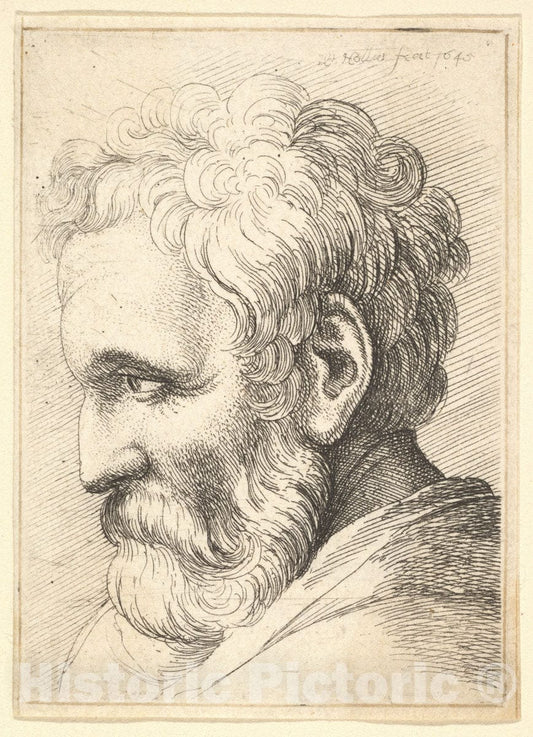 Art Print : Wenceslaus Hollar - Bearded Old Man : Vintage Wall Art