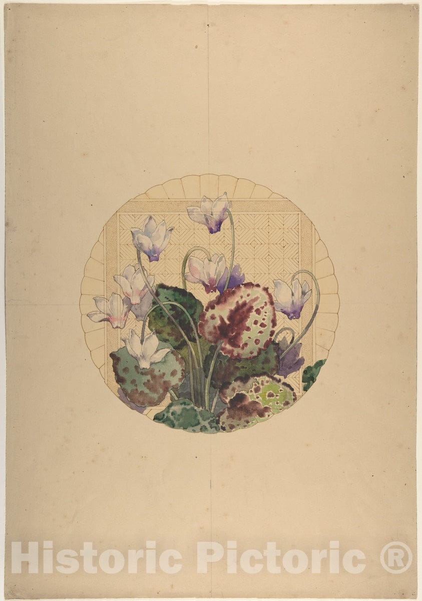Art Print : Amédée de Caranza - Design for a Plate with Cyclamens : Vintage Wall Art