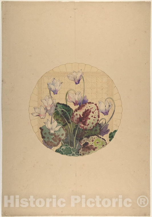 Art Print : Amédée de Caranza - Design for a Plate with Cyclamens : Vintage Wall Art