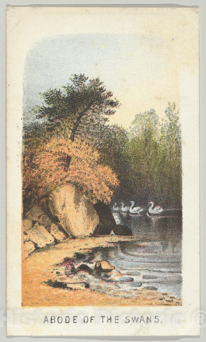 Art Print : Louis Prang & Co. - Abode of The Swans, from The Series, Views in Central Park, New York, Part 2 : Vintage Wall Art