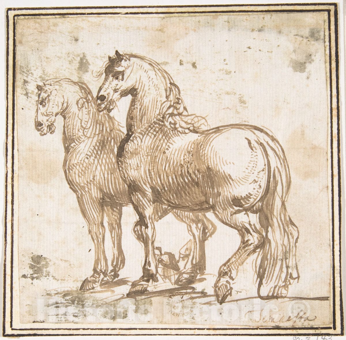 Art Print : Francesco Allegrini - Two Horses : Vintage Wall Art