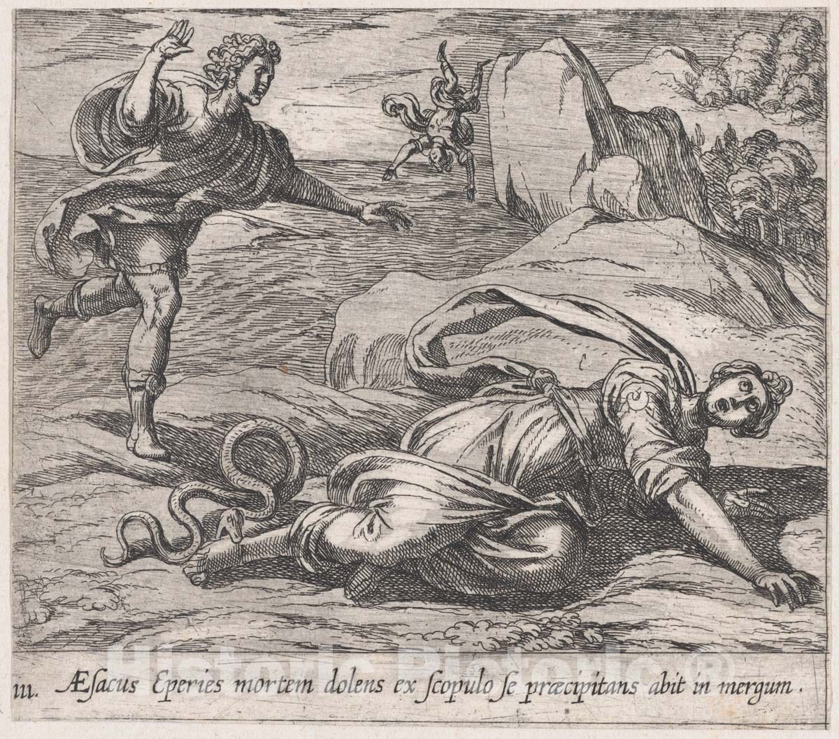 Art Print : Antonio Tempesta - Plate 111: Aesacus and Hespeia (Aesacus Eperies mortem dolens ex scopulo se praecipitans abit in mergum), from Ovid's 'Metamorphoses' : Vintage Wall Art