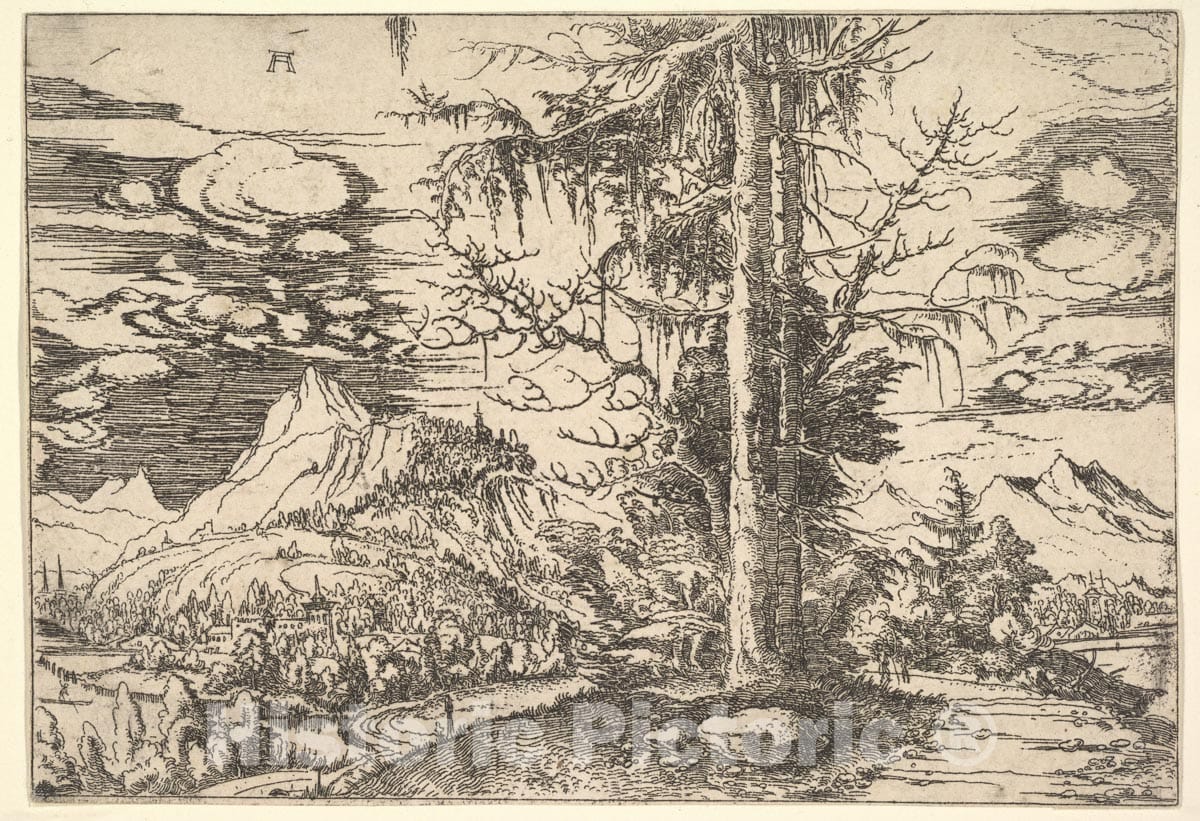Art Print : Albrecht Altdorfer - Landscape with a Double Spruce in The Foreground : Vintage Wall Art