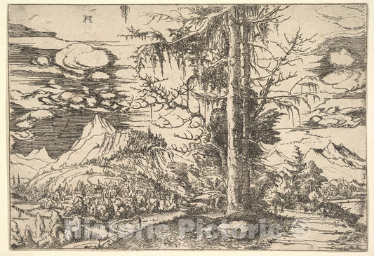 Art Print : Albrecht Altdorfer - Landscape with a Double Spruce in The Foreground : Vintage Wall Art