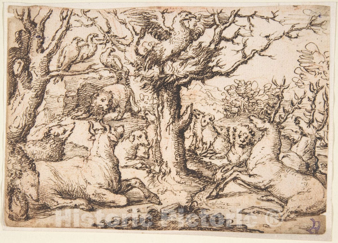 Art Print : Marcus Gheraerts The Elder - an Eagle Preaching to The Animals : Vintage Wall Art