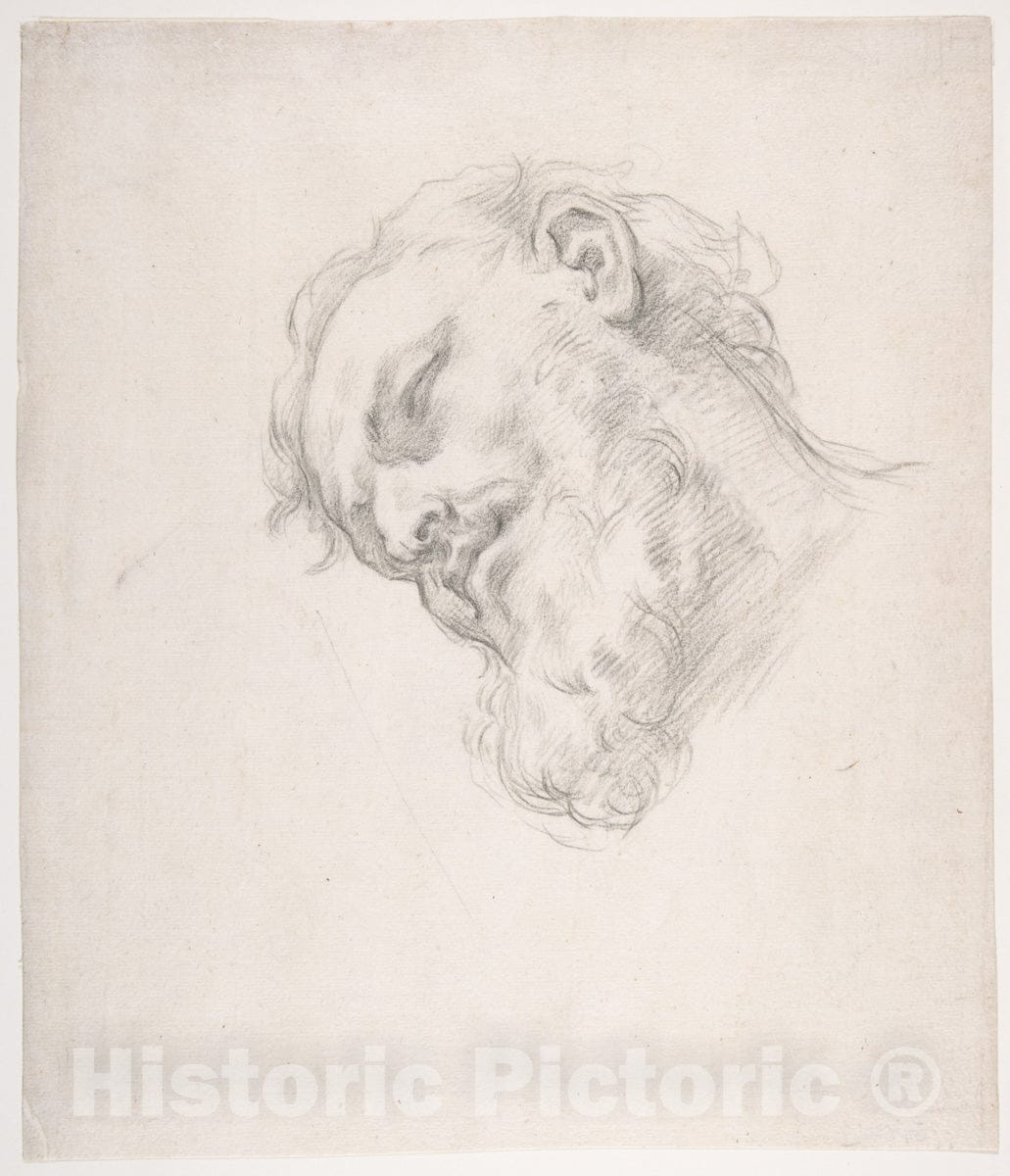 Art Print : Carlo Maratti - Study for a Head of a Man : Vintage Wall Art