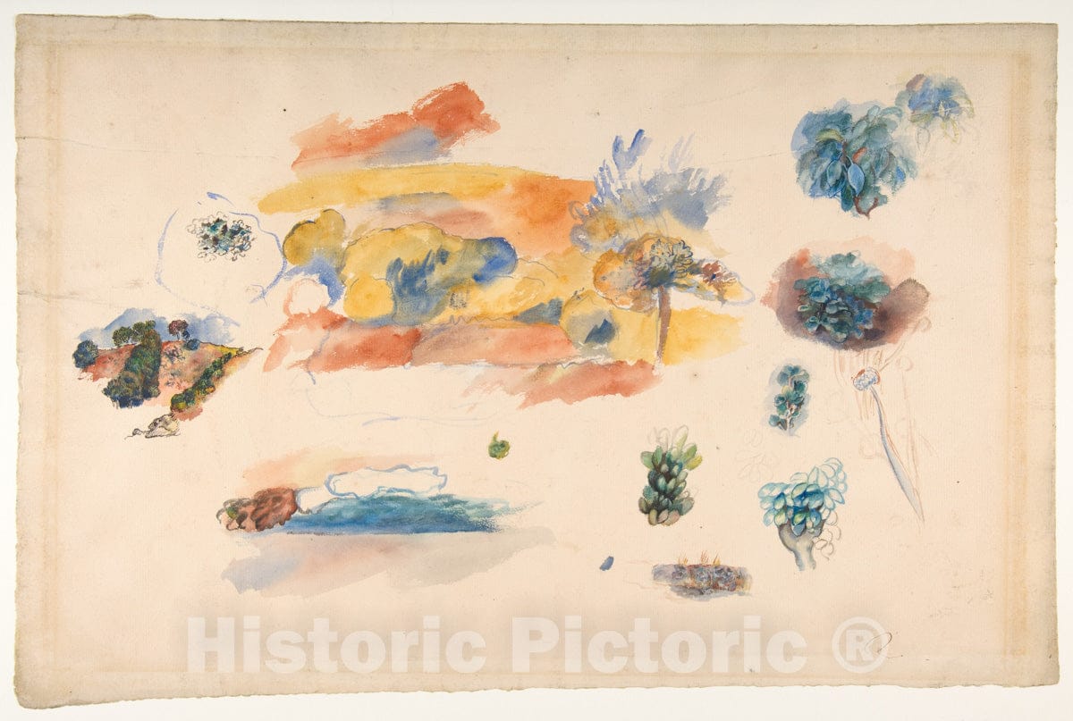 Art Print : Auguste Renoir - Studies of Landscape, Trees, and Exotic Fruit : Vintage Wall Art