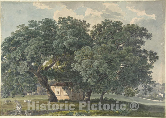 Art Print : Friedrich Salathé - Italian Landscape with Trees (Recto) : Vintage Wall Art